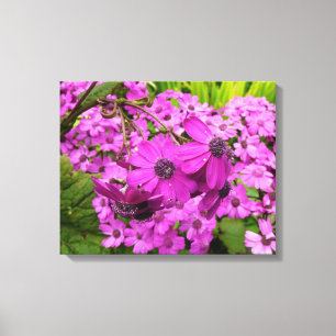 Purple Flowers uit San Francisco Canvas Afdruk