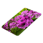 Purple Flowers uit San Francisco Magneet (Linkerzijde)
