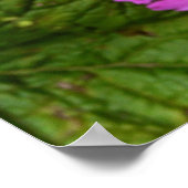 Purple Flowers uit San Francisco Poster (Hoek)