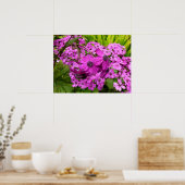 Purple Flowers uit San Francisco Poster (Keuken)