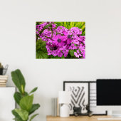 Purple Flowers uit San Francisco Poster (Thuiskantoor)