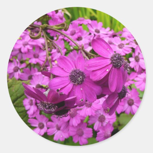 Purple Flowers uit San Francisco Ronde Sticker (Voorkant)