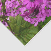 Purple Flowers uit San Francisco Tissuepapier (Detail)