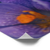 Purple Flowers Wall Art | Paarse Lotus Flower Poster (Hoek)