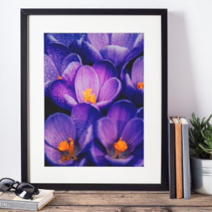 Purple Flowers Wall Art   Paarse Lotus Flower Poster