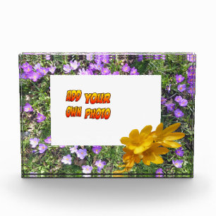 Purple Flowers Yellow Crocuses Cust. Fotoblok