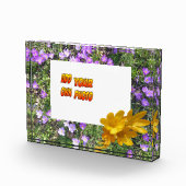 Purple Flowers Yellow Crocuses Cust. Fotoblok (Rechts)