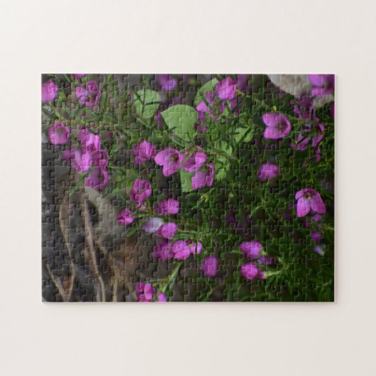 Purple Garden – A Bloom in Focus Legpuzzel (Horizontaal)