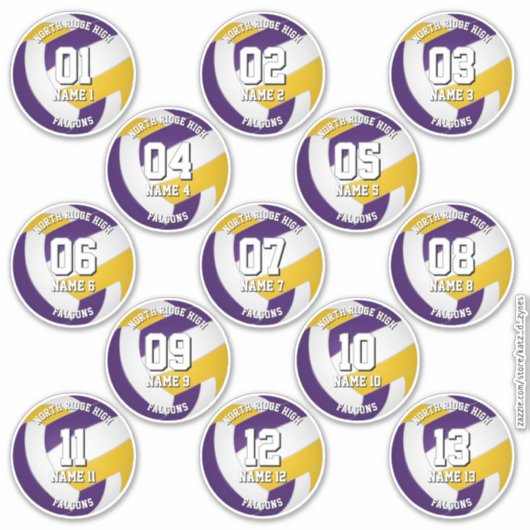 purple gold volleyball team stickers 13 athletes (Voorkant)