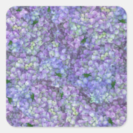 Purple hydrangea flowers vierkante sticker