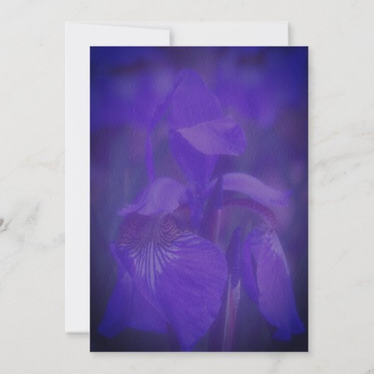 Purple Iris Flower Bridal Shower  Kaart (Achterkant)
