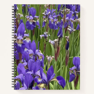 Purple Iris Flowers Nature Plants Photography Notitieboek