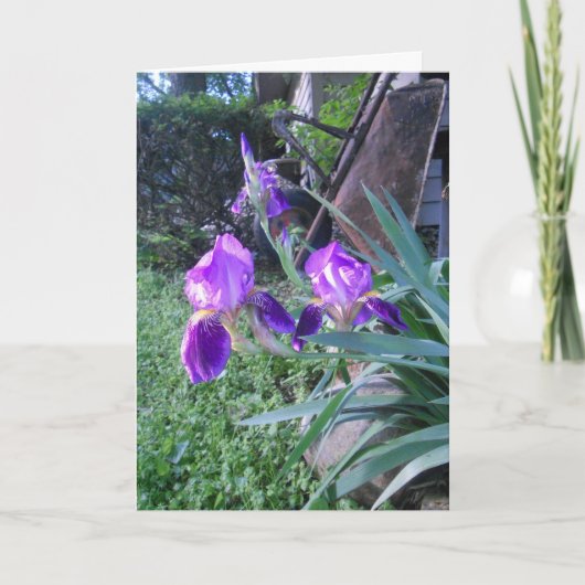 "Purple Iris's" Pasenkaart Kaart (Voorkant)