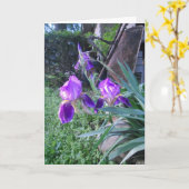 "Purple Iris's" Pasenkaart Kaart (Gele Bloem)