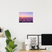 Purple Lavender Fields Poster - Provence France (Thuiskantoor)
