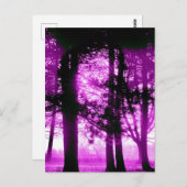 Purple Light with Silhouette Trees  Briefkaart (Voorkant / Achterkant)