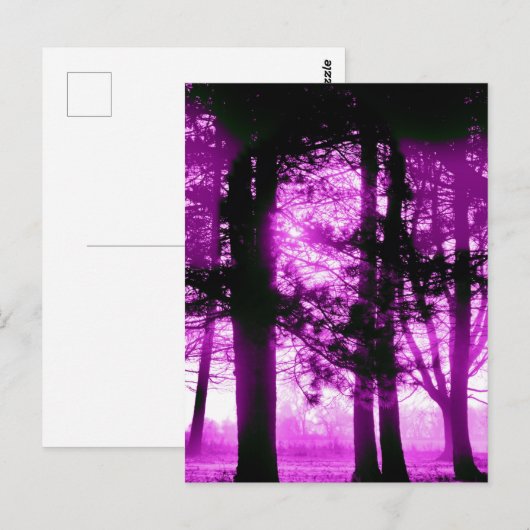 Purple Light with Silhouette Trees  Briefkaart (Voorkant / Achterkant)