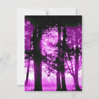 Purple Light with Silhouette Trees Briefkaart