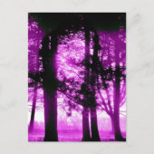 Purple Light with Silhouette Trees  Briefkaart (Voorkant)