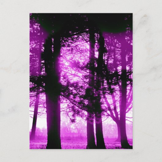 Purple Light with Silhouette Trees  Briefkaart (Voorkant)