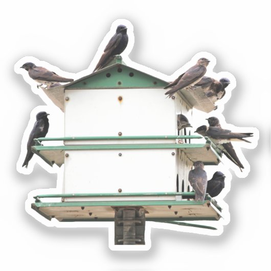 Purple Martin House Sticker (Voorkant)