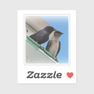 Purple Martin Pair Sticker