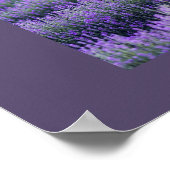 Purple Modern Typography Grad Three Photos Poster (Hoek)