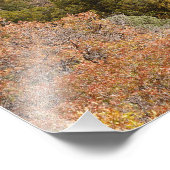 Purple Mountain Contrasts Colorado Foto Afdruk (Hoek)