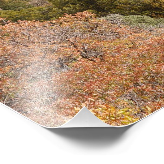 Purple Mountain Contrasts Colorado Foto Afdruk (Hoek)