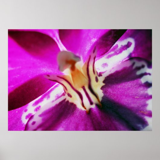 Purple Orchid Poster (Voorkant)
