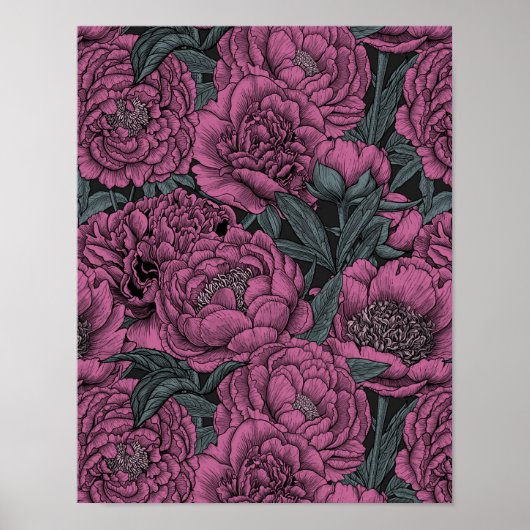 Purple peony flowers poster (Voorkant)