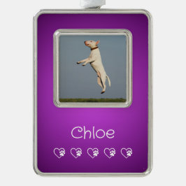 Purple Pet Photo Ornament - New Puppy Gift
