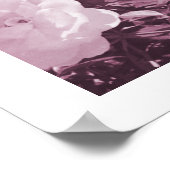 Purple Roses Floral Garden Photo Art Print Poster (Hoek)