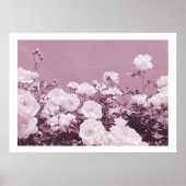 Purple Roses Floral Garden Photo Art Print Poster (Voorkant)