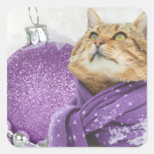 Purple Scarf Winter Cat Stickers (Voorkant)