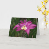 Purple Tulip Kaart (Gele Bloem)