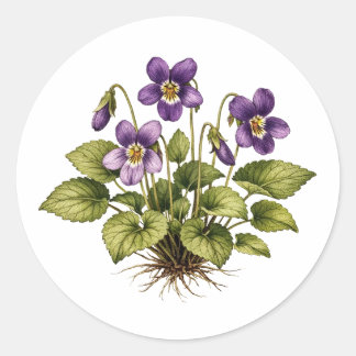 Purple Violet Vintage Style Botanical  Ronde Sticker