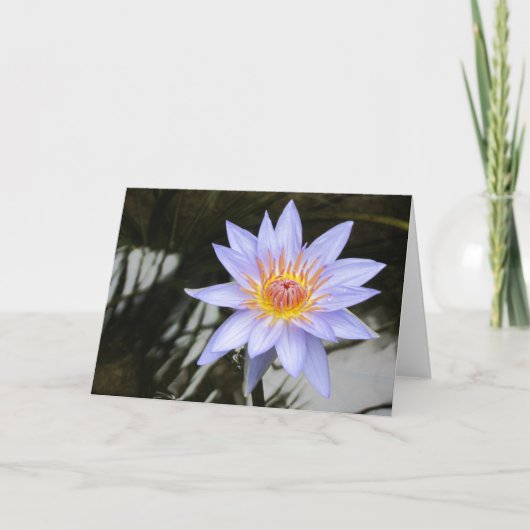 Purple Water Lily Greeting Card Aankondiging (Voorkant)
