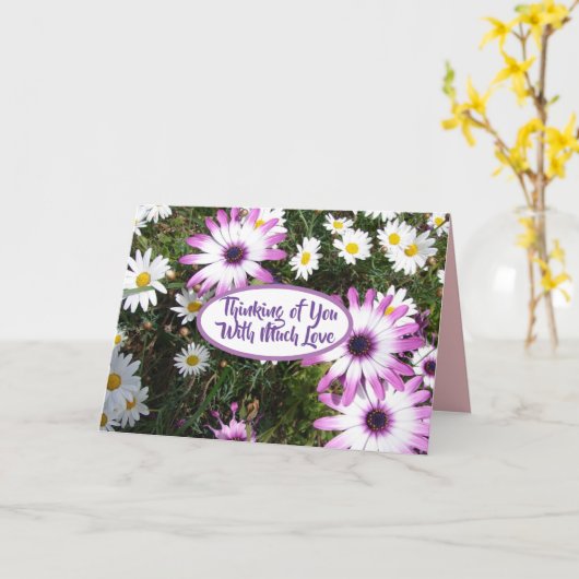 Purple White Daisy Flower Garden Thinking Of You Kaart (Gele Bloem)