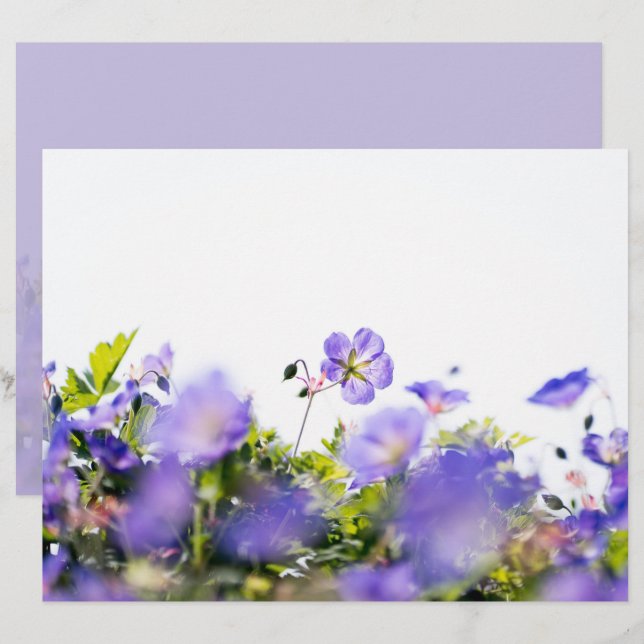 Purple Wildflower Two-Sided Scrapbook Paper (Voorkant / Achterkant)
