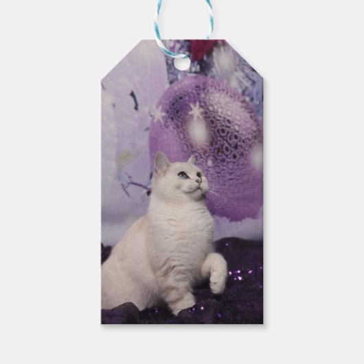 Purple XMAS Cat Cadeaulabel (Voorkant)