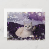 Purple XMAS Cats Feestdagenkaart (Voorkant / Achterkant)