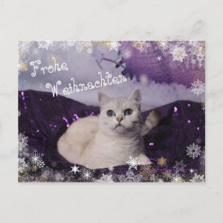 Purple XMAS Cats Feestdagenkaart