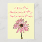 purpleconeflowergeliefde3 briefkaart (Voorkant)