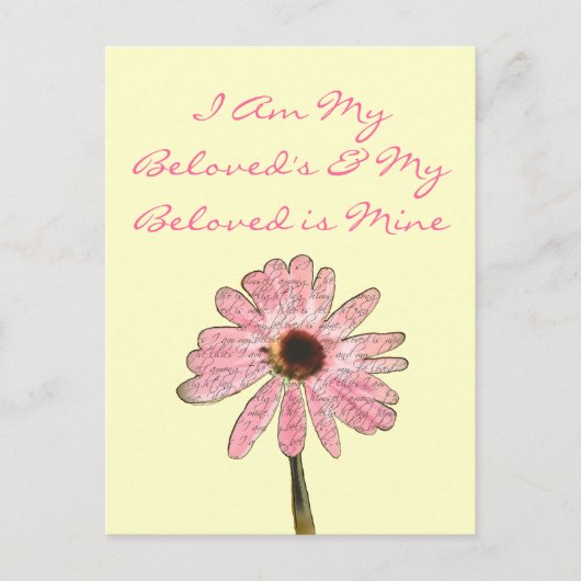 purpleconeflowergeliefde3 briefkaart (Voorkant)