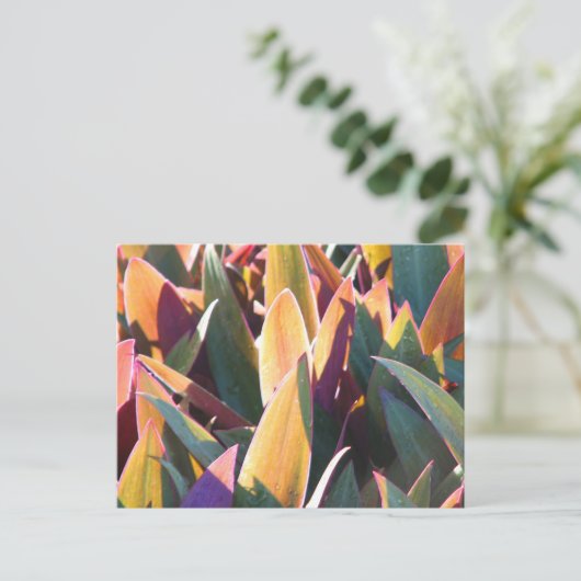 Purples & Golds Briefkaart (Staand voorkant)