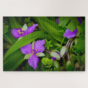 Purplish Pink Spiderwort Spring Burst Legpuzzel