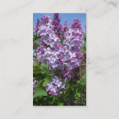 Purplke Lilacs in Bloom-aangepaste kleur Visitekaartje (Achterkant)