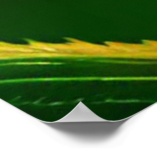 PURPLR DANDY POSTER (Hoek)