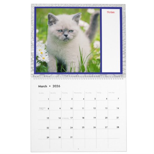 'Purr & Bark-ingham Tails' Pet Custom Kalender (Mar 2026)